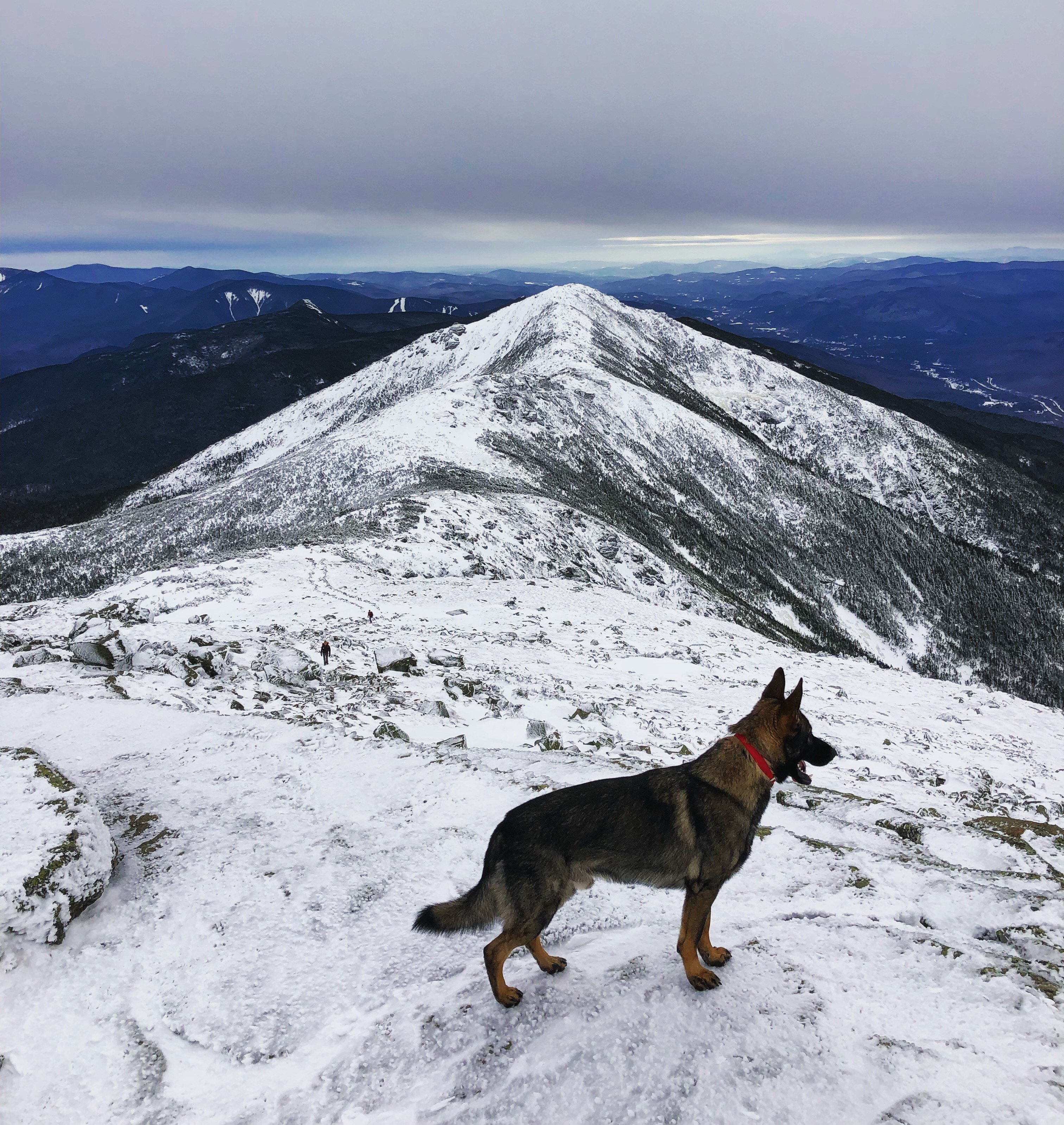 Franconia Ridge, NH