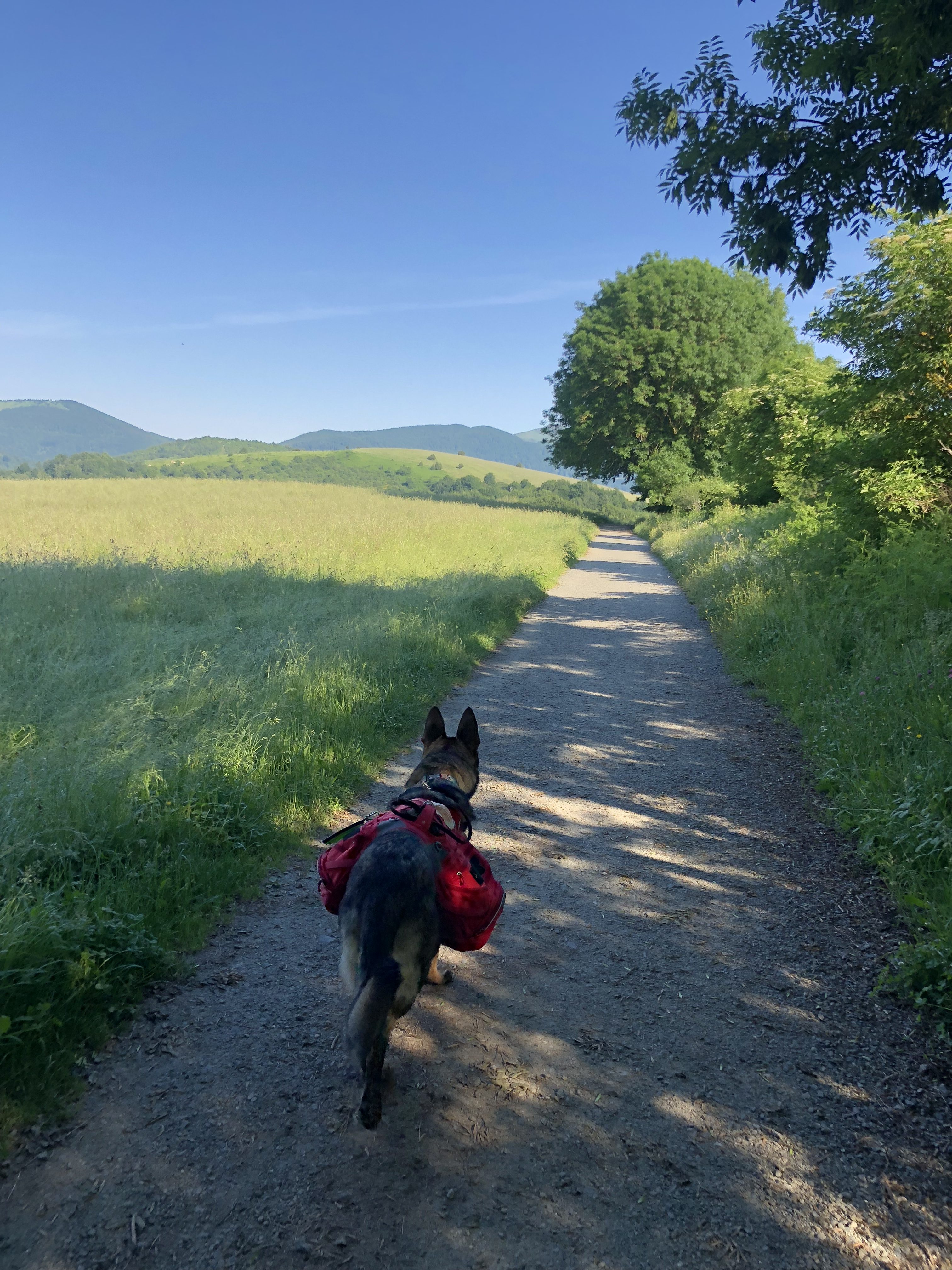 Day 2 – Roncesvalles to Zubiri
