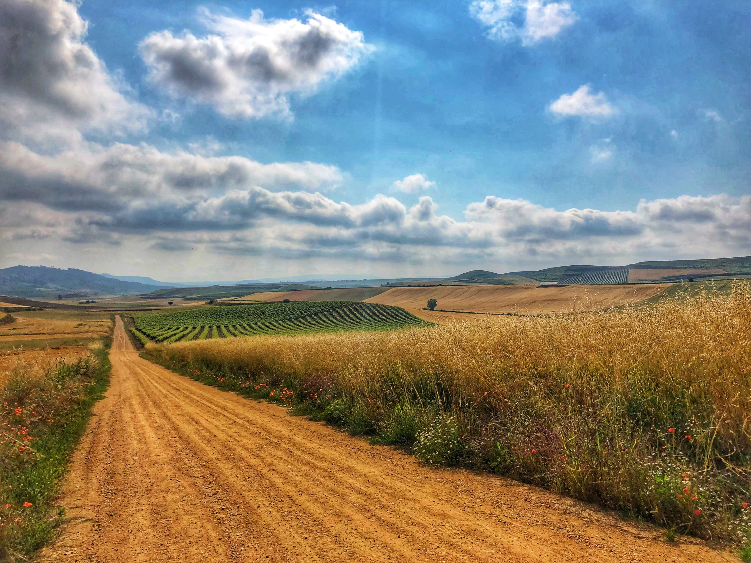 Fields of Castilla