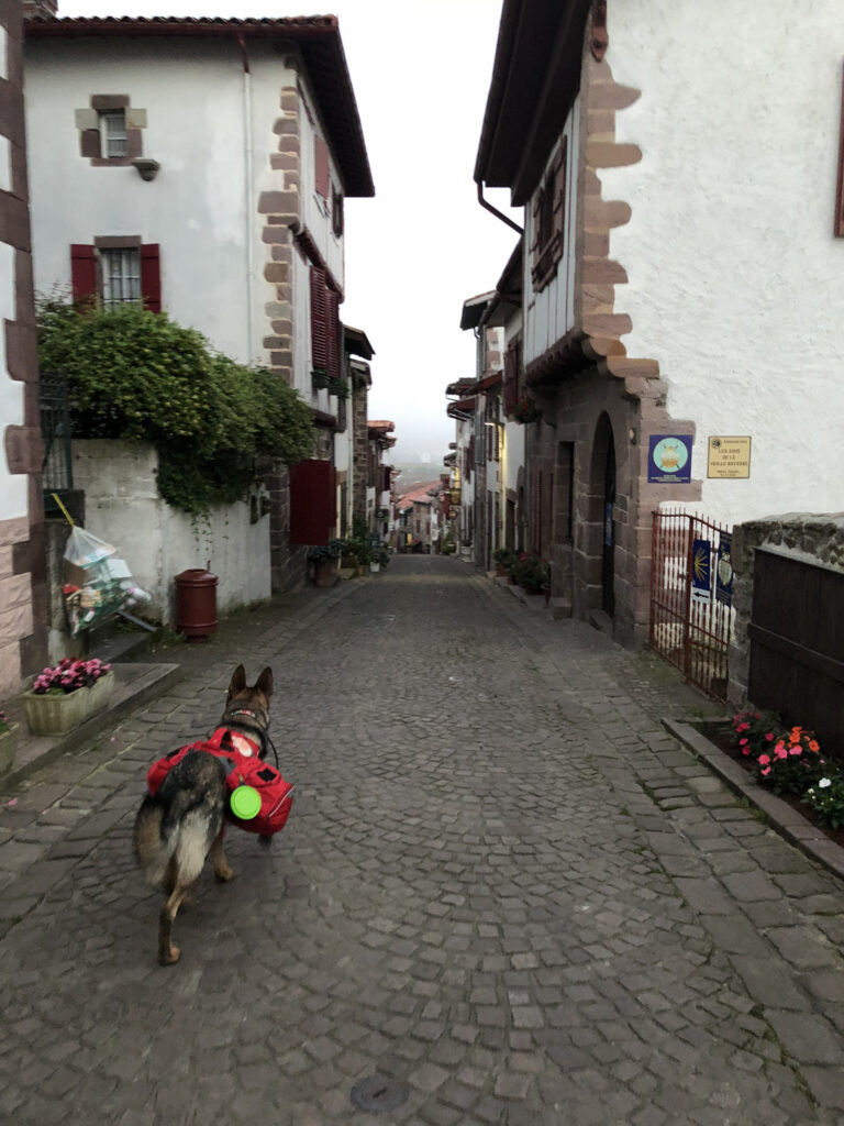 Leaving Saint Jean Pied de Port on Day One