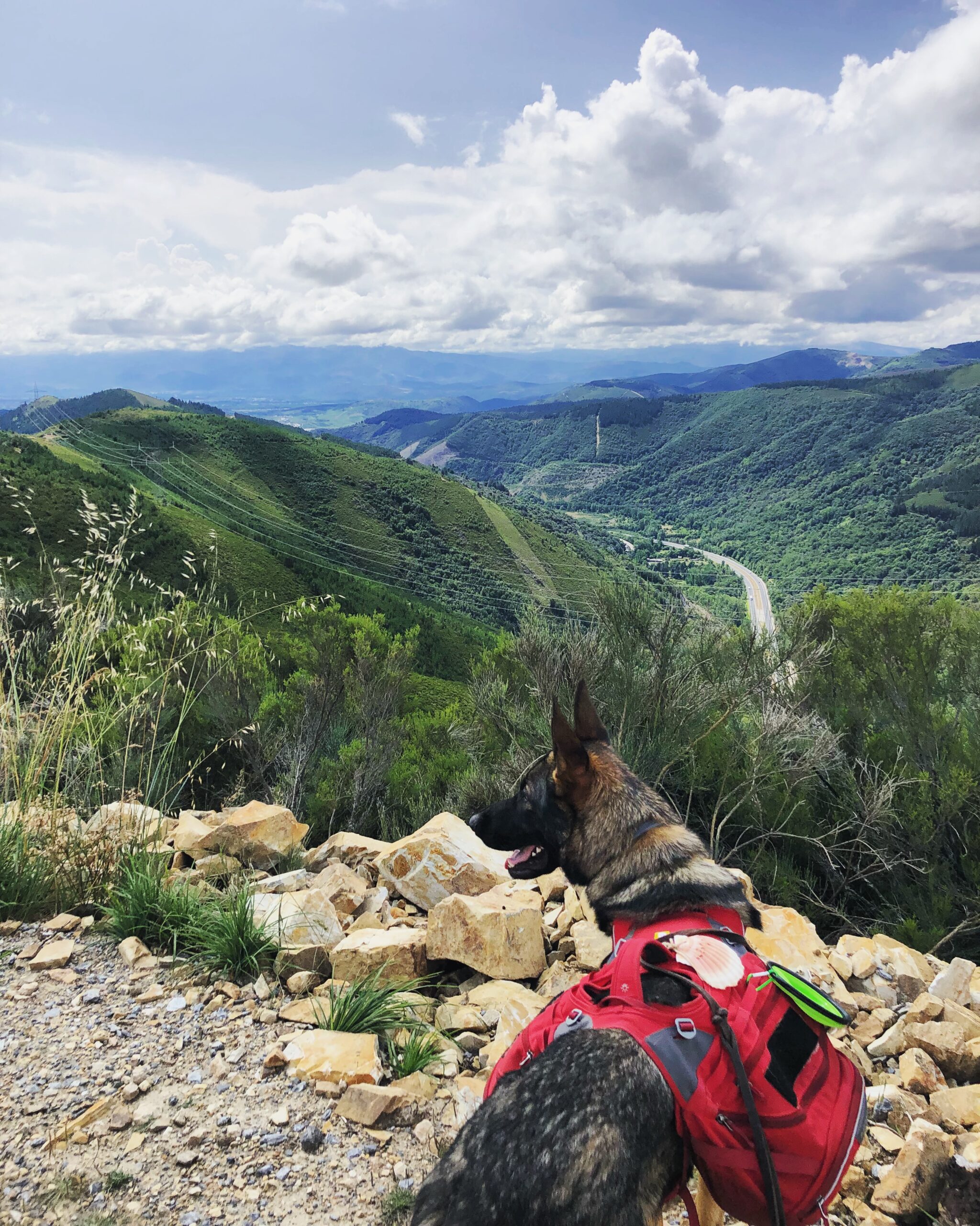 Views of the Valcarce Valley from the alternate route