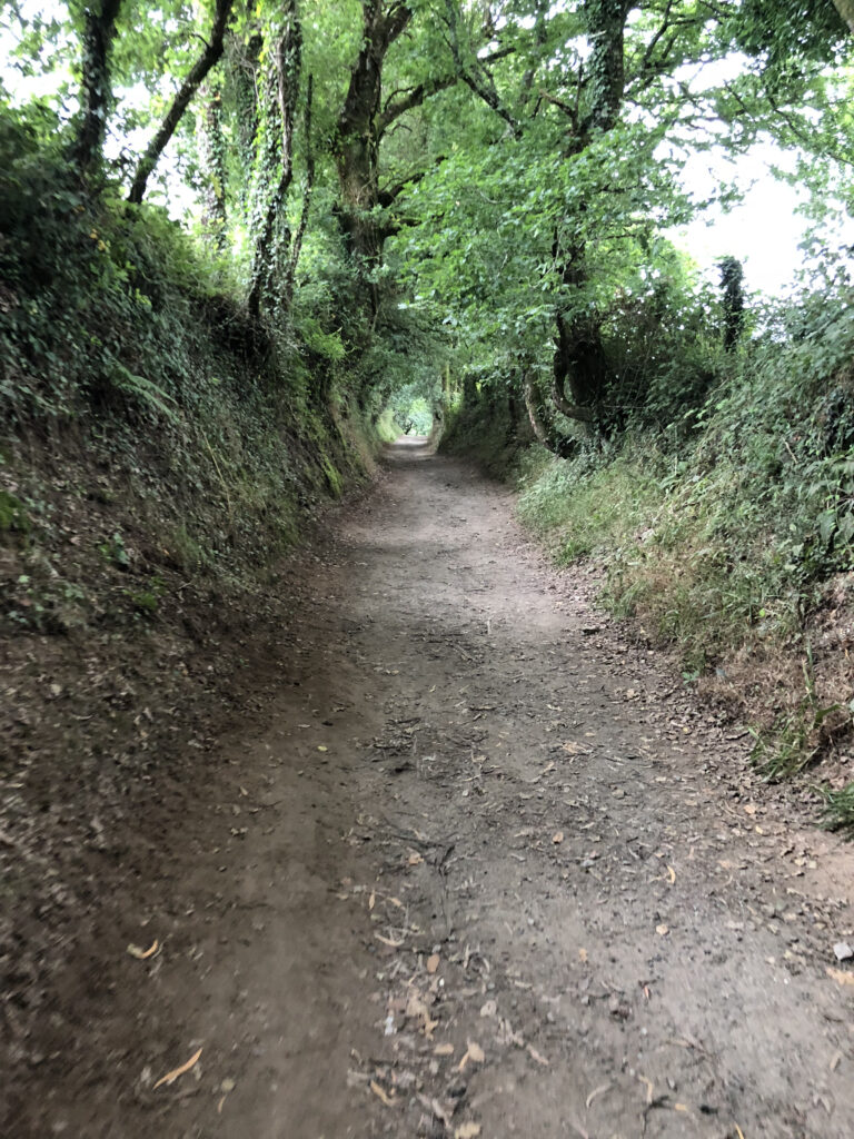 One of the many holloways we walked through in Galicia