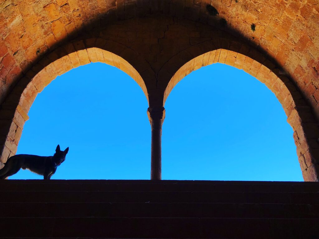 Looking up from the bottom of the steps in Fuente de los Moros