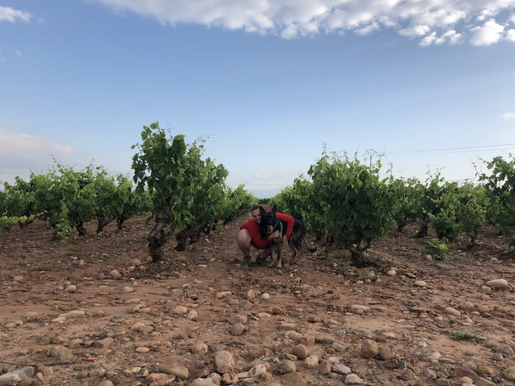 Enjoying wine country in La Rioja